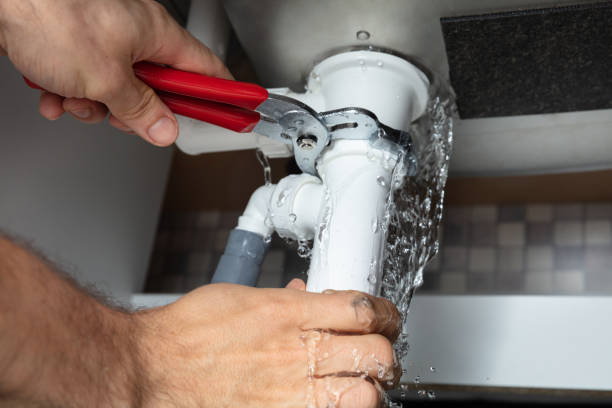 Best Water damage cleanup near me  in Dulce, NM