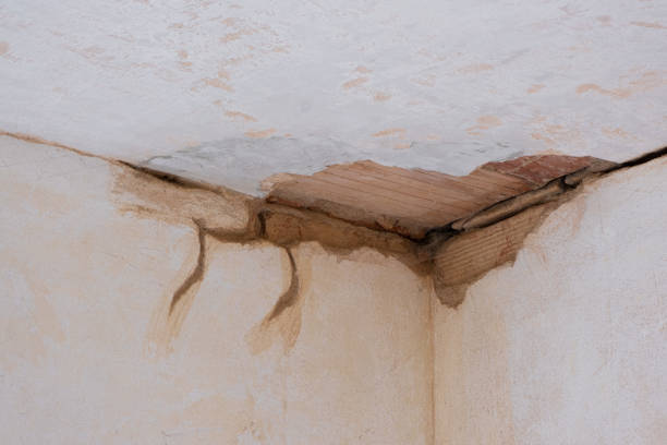 Best Commercial water damage restoration  in Dulce, NM