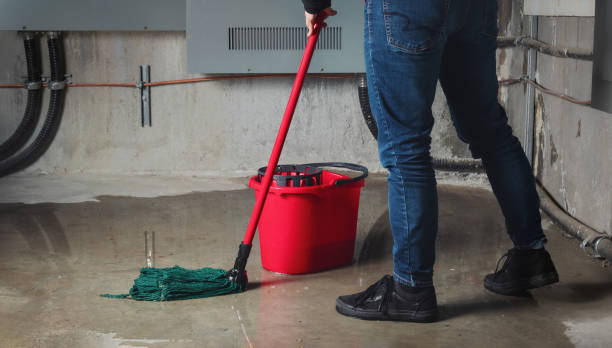Best Mold removal after water damage  in Dulce, NM
