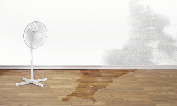 Best Water damage restoration process  in Dulce, NM