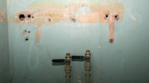 Best Flood damage cleanup  in Dulce, NM