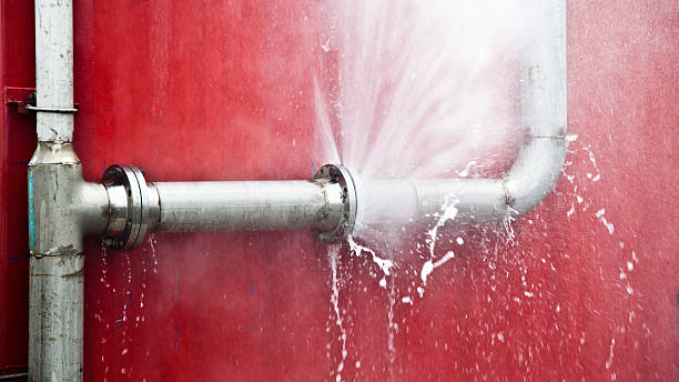 Best Water damage repair service  in Dulce, NM