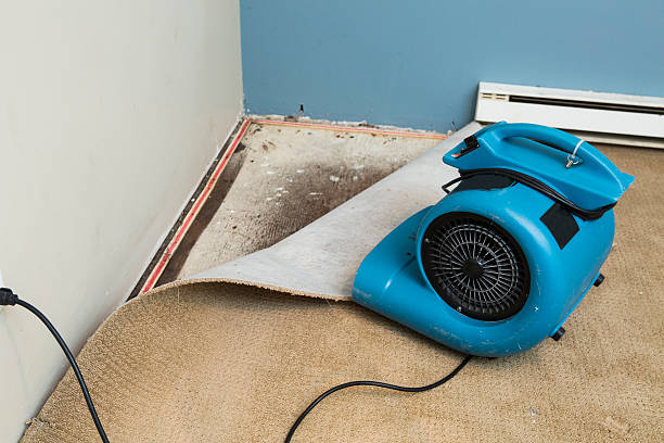 Best 24-hour water damage restoration  in Dulce, NM